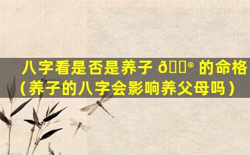 八字看是否是养子 💮 的命格（养子的八字会影响养父母吗）